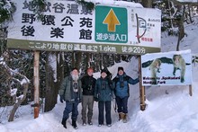 Japan - Snow Monkeys at Yudanaka