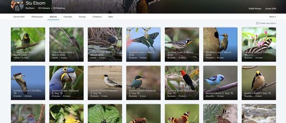 Flickr Image Library